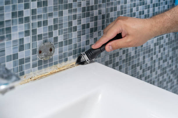 Best Best Mold Removal Companies  in Windsor, CA